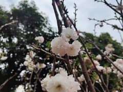 -观澜湖生态运动公社