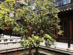-麒麟小院·老九江菜(安平路店)