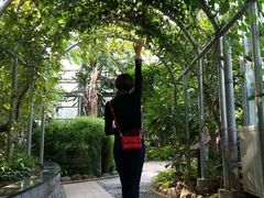 -南山植物园