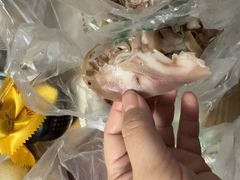 -洪记白水羊头(留学路店)