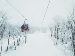 -中旅松花湖滑雪场