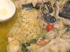 -鲁宴·鲁煨黄河生态大鲤鱼(月坛店)