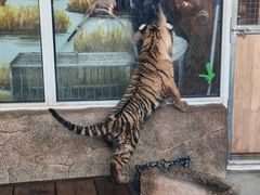 -大连森林动物园