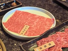-老乾杯(深圳湾万象城店)