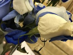 -BEAST野兽派(上海浦东嘉里城店)