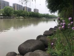 -运河游船(武林门码头)