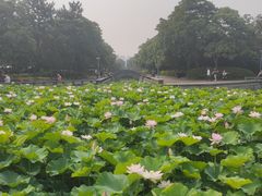 -蠡湖大桥公园