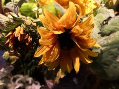 -春暖花开(西溪店)