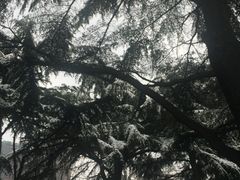 -贮水山儿童公园