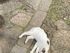 -西园戒幢律寺