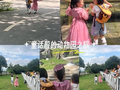 -贵州森林野生动物园