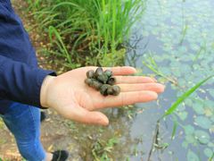 -昆山城市生态森林公园