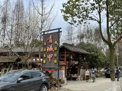 -青城甲(青城山店)