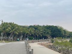 -深圳湾公园(南山区)