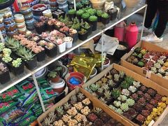-卜蜂莲花(杨高南路店)