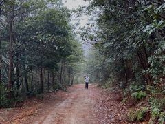 -宁波五龙潭景区