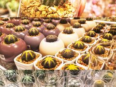 -KKV(深圳宏发大仟里店)