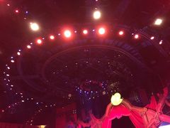 -珠海横琴长隆《卡卡虎奇遇记》