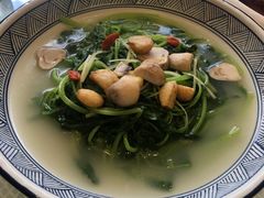 上汤马齿苋-莞香楼·正宗东莞菜(东升店)