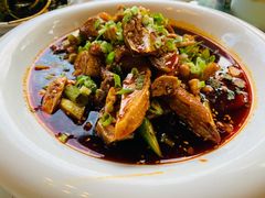 凉拌鸡肉-龙翔山庄雷鸡肉(青城后山泰安古镇店)
