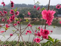 -南国桃园旅游度假区