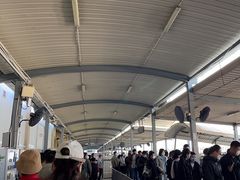 -厦门邮轮中心厦鼓码头(轮渡站)