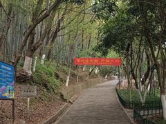 -峙山公园
