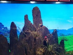 -龙潭喜客·四川客家菜