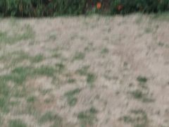 -钟山体育运动公园
