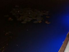-聚龙湖公园