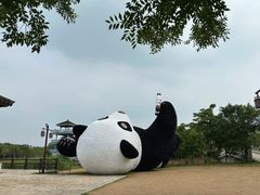 -苏州太湖国家湿地公园