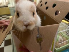 -龙猫仔乐园(惠福东路店)