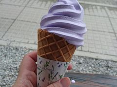 -富田农场