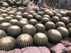 -南通洲际绿博园