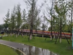 -府河摄影公园