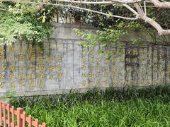 -习家池