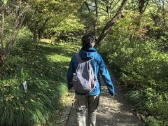 -灵顺寺