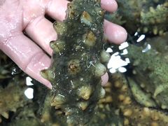 -恒达综合农贸市场(黄山路店)