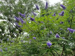 -中国浦东干部学院