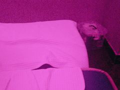 -意境养生SPA会所(潘家园店)