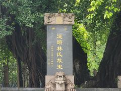 -光明港公园