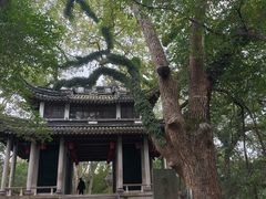 -蒋氏故居