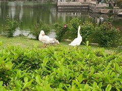 -台州府城(东湖)