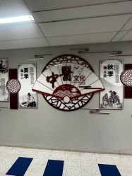 -杭州贝瑞斯美华妇儿医院·早孕·产检·儿科