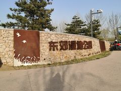 -东郊湿地公园
