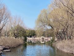 -上海滨江森林公园
