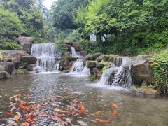 -兰溪地下长河