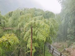 -藏龙百瀑风景区