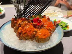 -同庆楼(华强吾悦广场店)