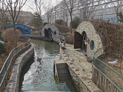 -南宫五洲植物乐园